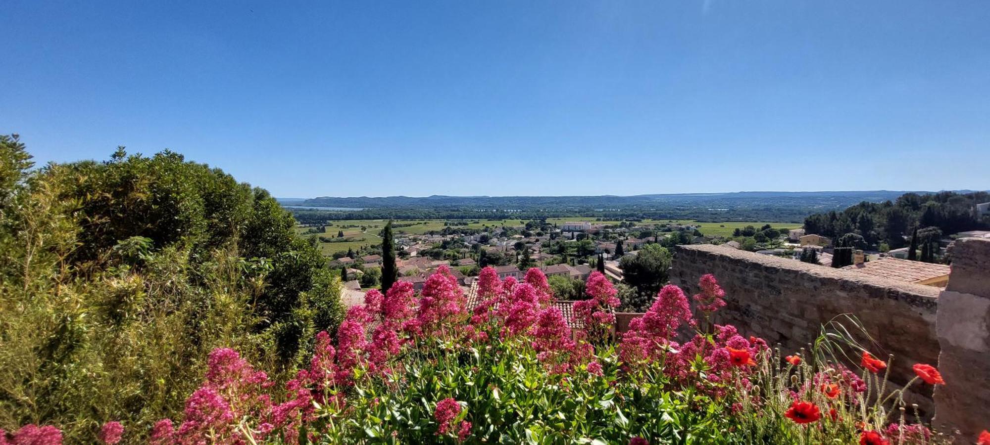 Gite De L'Olivier, Classe, Climatise, Jardin Avec Parking Gratuit Devant Le Logement Et A 5 Minutes Du Centre-Ville A Pied LʼIsle-sur-la-Sorgue Esterno foto